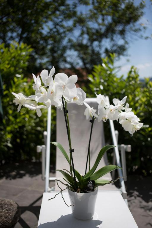 Zahrada ubytování Orchidea