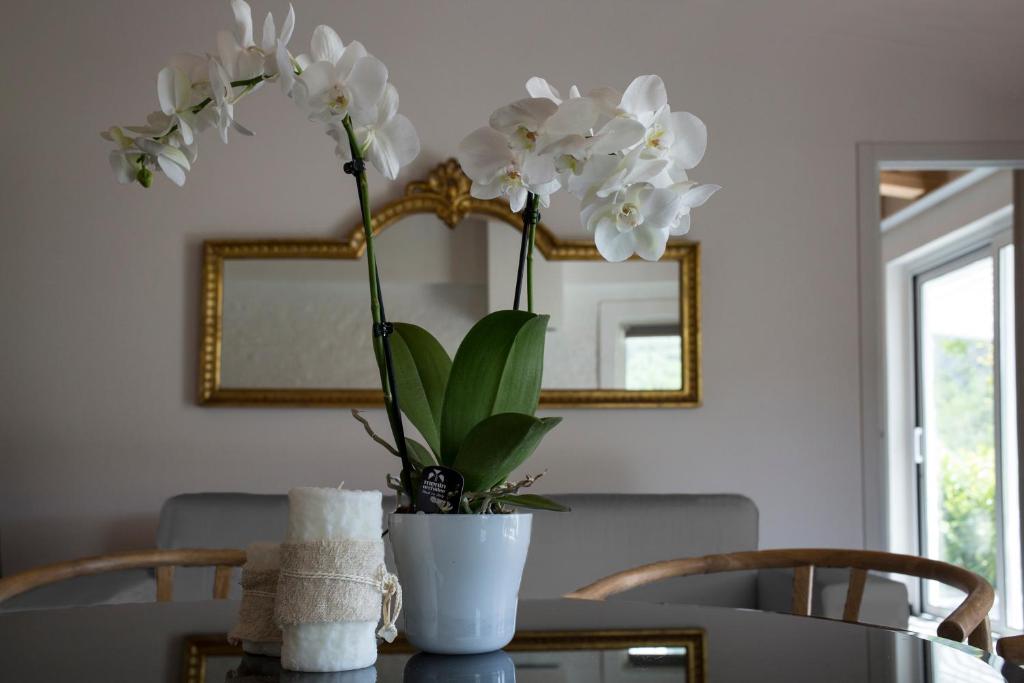 Fotografie z fotogalerie ubytování Orchidea v destinaci Beverino