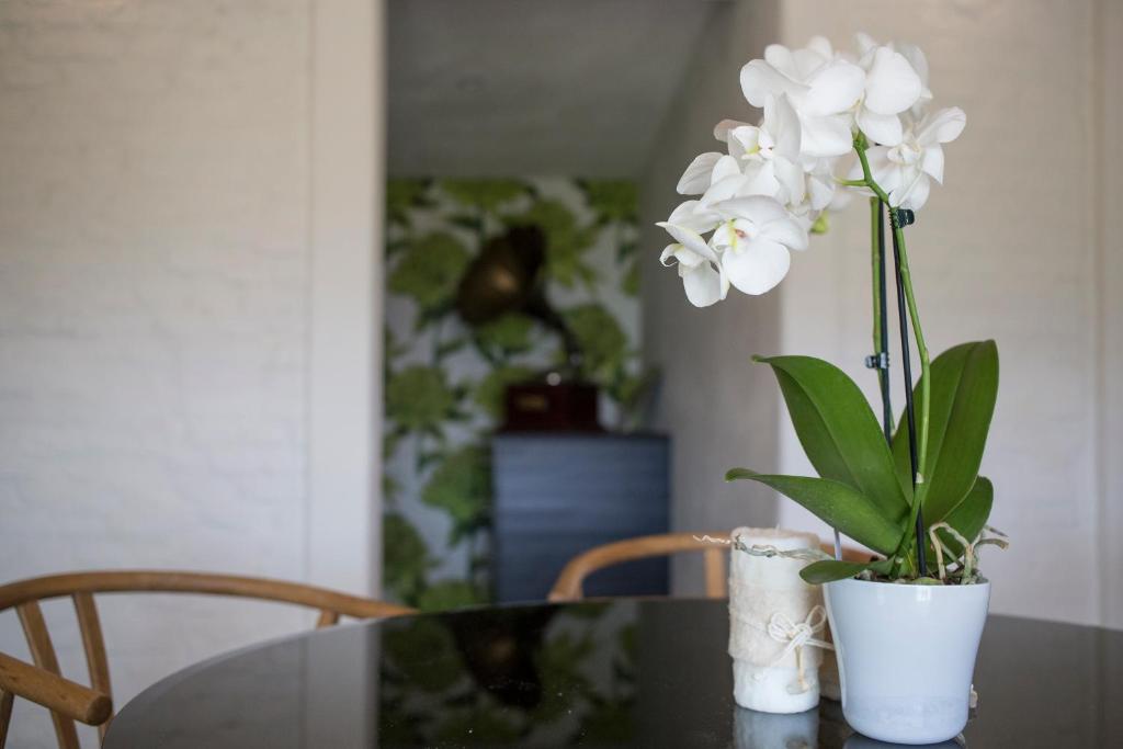 Fotografie z fotogalerie ubytování Orchidea v destinaci Beverino