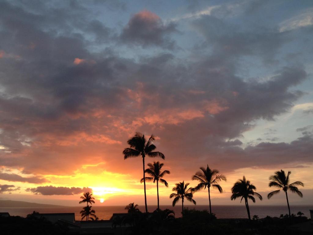 een groep palmbomen voor de zonsondergang bij Wailea Ekolu #607 in Wailea