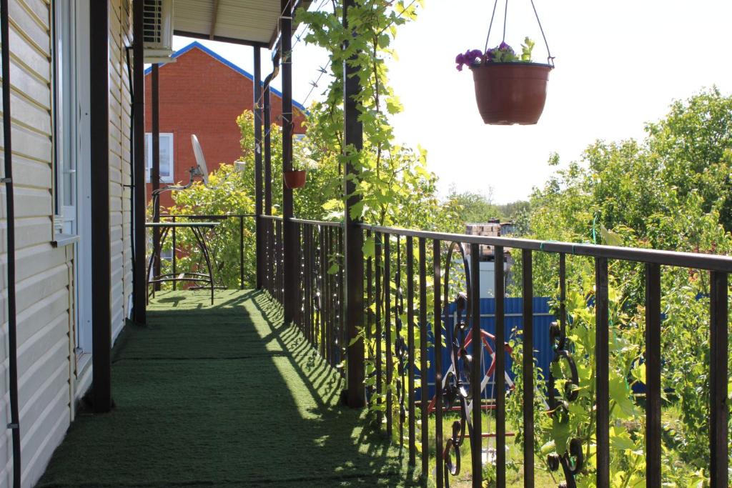 a porch with a fence and a potted plant at Гостевой дом Арарат in Dolzhanskaya