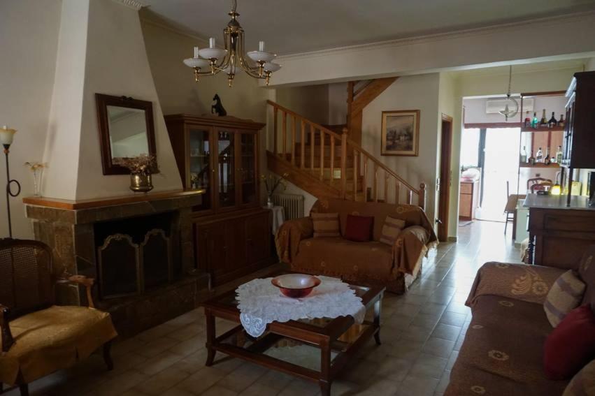 a living room with a couch and a fireplace at Alexandra's Relaxing House in Mikrománi