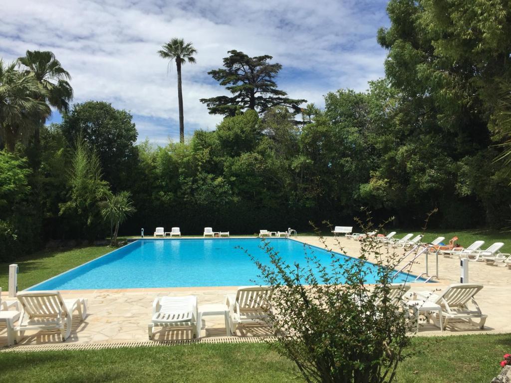 a swimming pool with lounge chairs and a palm tree at Un Coin de Paradis in Cannes