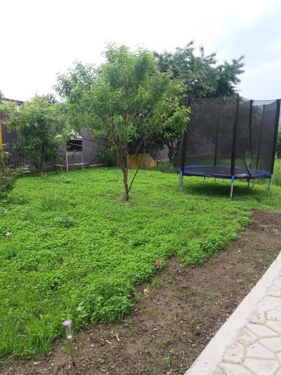 Zahrada ubytování Casa Ariana