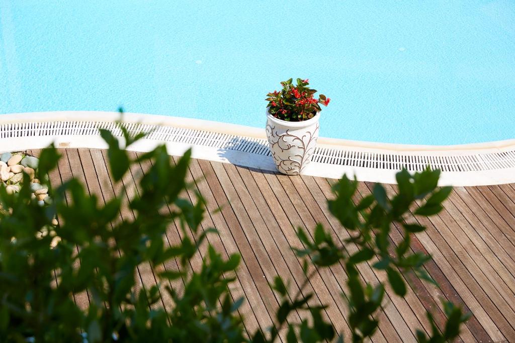Renaissance Hanioti Resort 