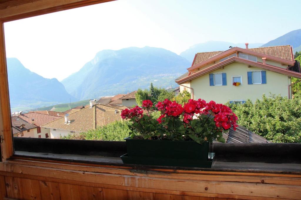 Widok na góry z tego obiektu B&B