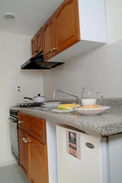 Kuchyň nebo kuchyňský kout v ubytování Hotel y Suites Nader