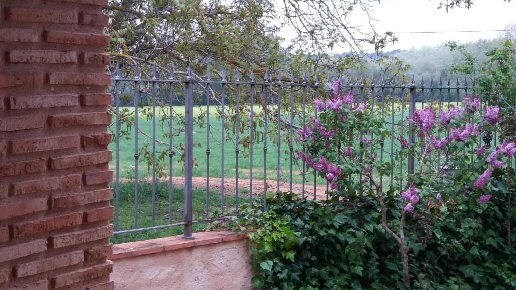 Zahrada ubytování Casa del Rio