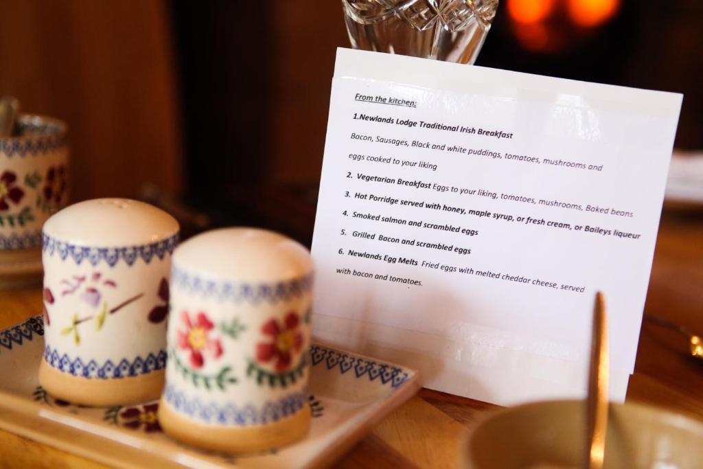 Fotografie z fotogalerie ubytování Newlands Lodge v destinaci Kilkenny