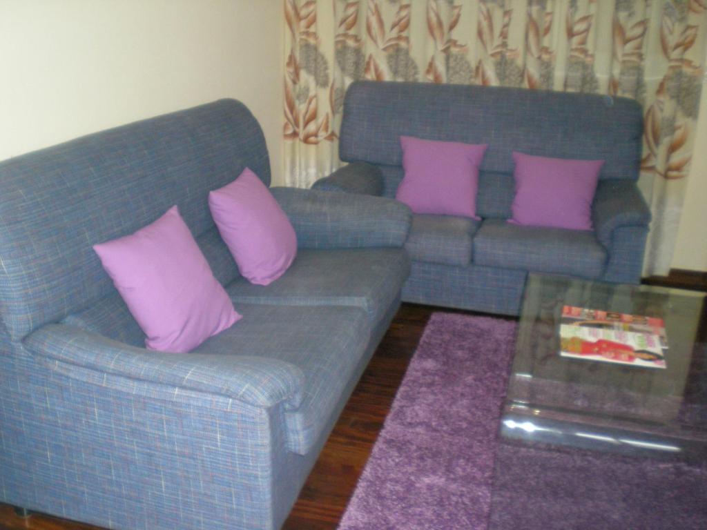 a living room with two blue couches and pink pillows at Apartamento Alegria in Santiago de Compostela