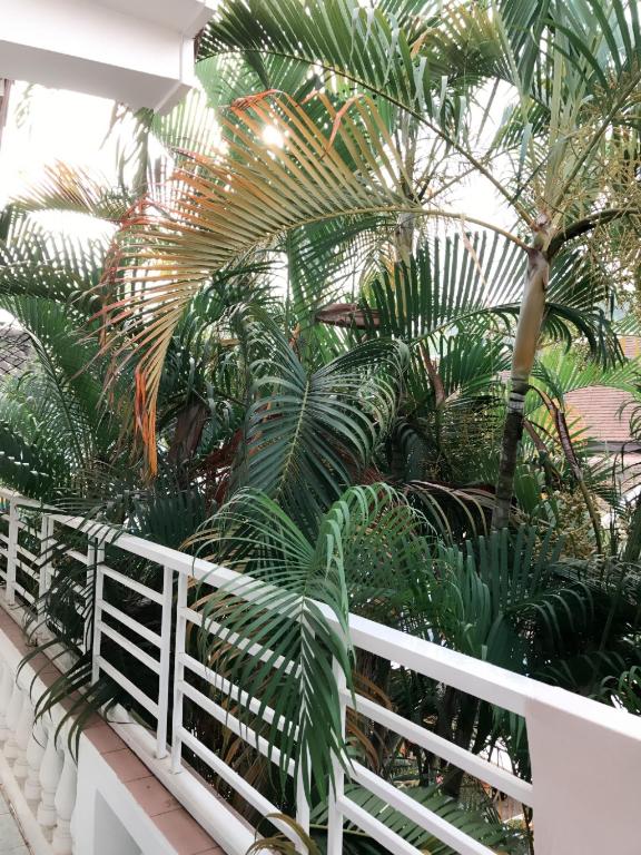 ルアンパバーンにあるLuang Prabang Hostelのギャラリーの写真