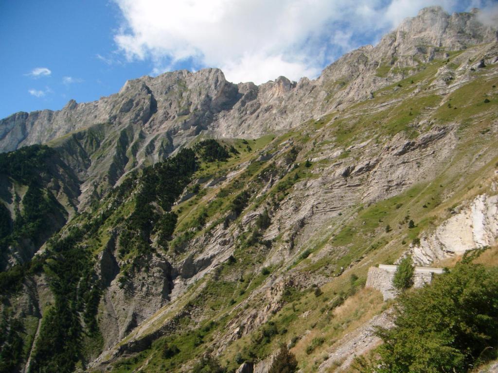 un flanc de montagne avec des arbres dans l'établissement Les Gîtes de Galinette, à La Bâtie-Vieille