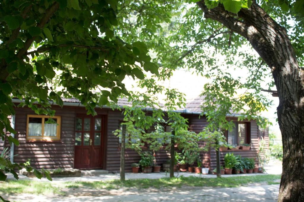 Ogród w obiekcie Holiday Home Melinda