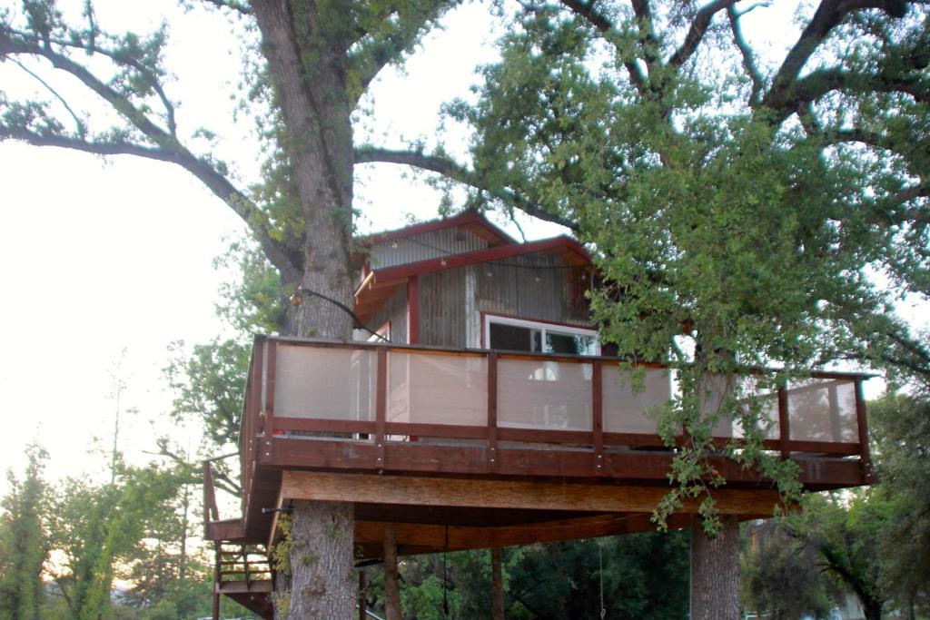 a tree house in a tree at Hawk's Rest in Oakhurst