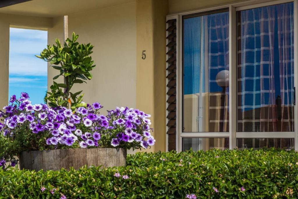 Bella Tuscany Motor Lodge - Resim 21