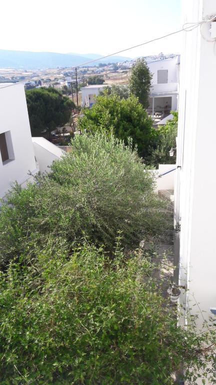 Príroda v okolí of the country house