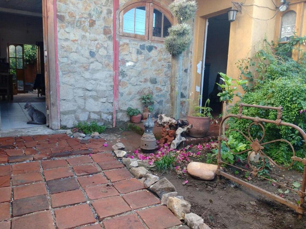 Zahrada ubytování Posada la Piedra