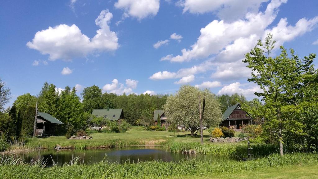 eine Gruppe von Cottages neben einem Teich in der Unterkunft Nature Resort Stirnelė in Kraujeliai