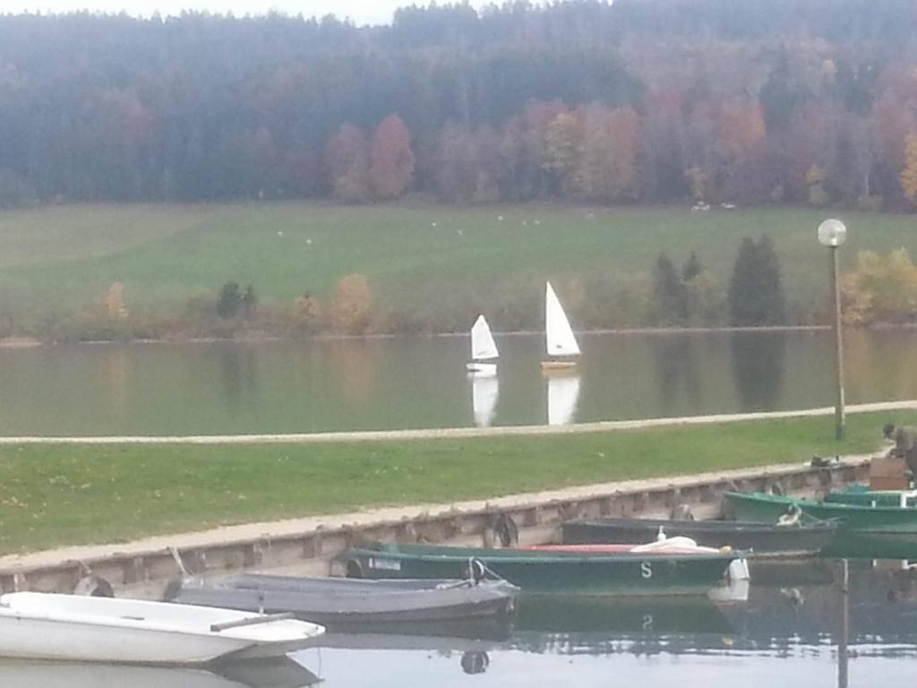 eine Gruppe von Booten auf einem See mit Segelbooten in der Unterkunft L'Ecrin du Lac in Saint-Point-Lac