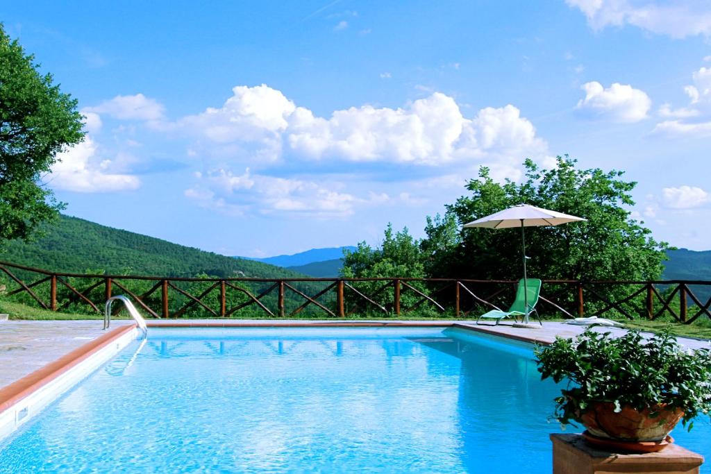 a swimming pool with an umbrella and a chair at Agriturismo Badia Ficarolo in Palazzo del Pero