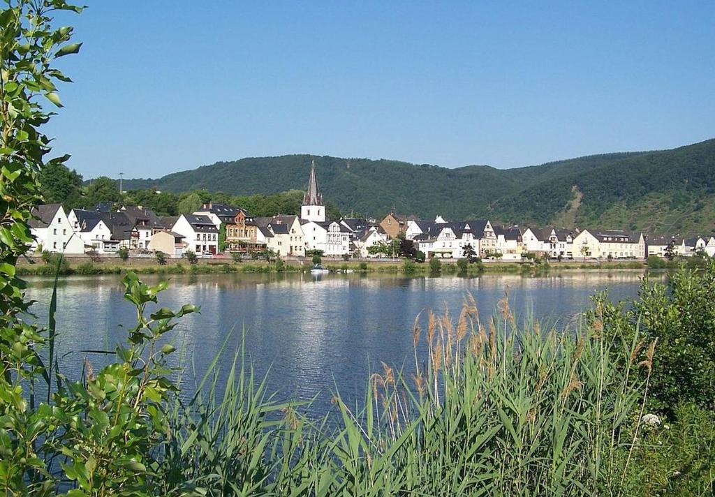 a town on the shore of a body of water at Pension Mosellablick in Briedern