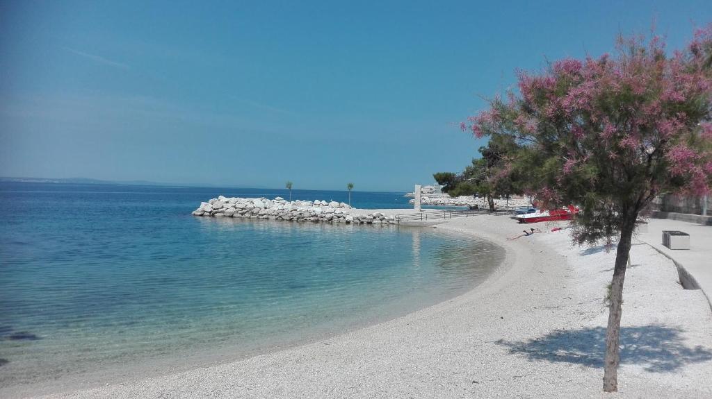 una playa de arena con un árbol y el agua en Mateo, en Dugi Rat