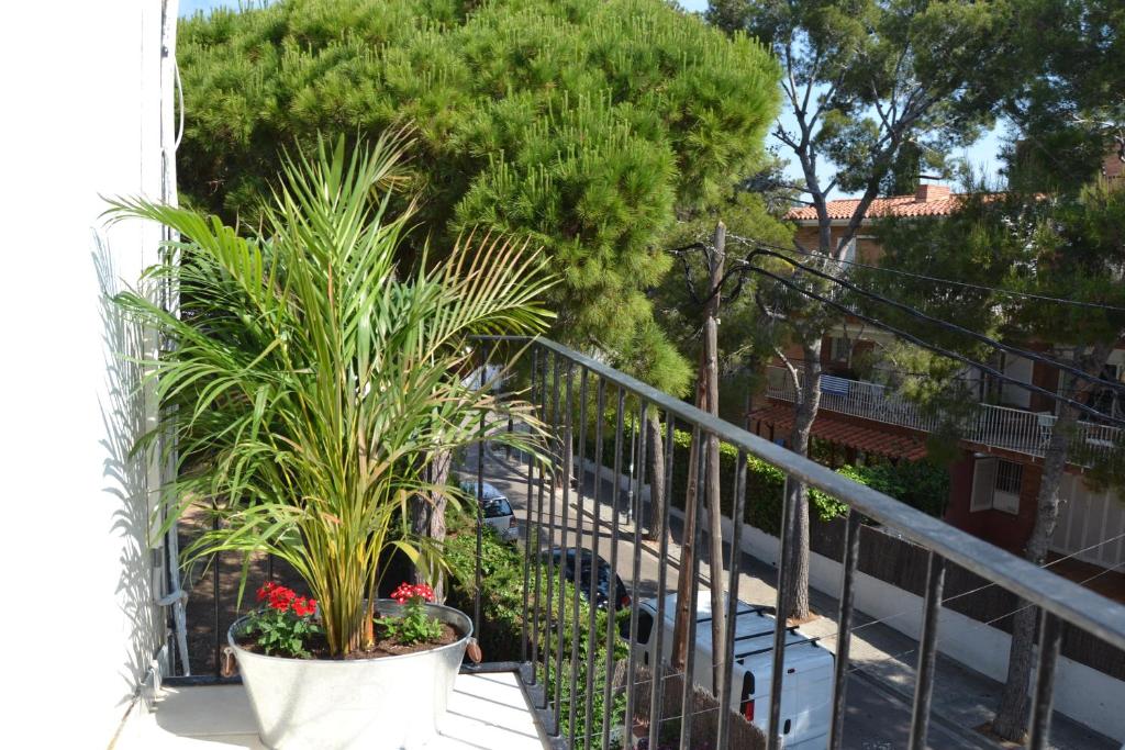 Apartment Studio Carrer de Valencia, Sitges, Spain - Booking.com