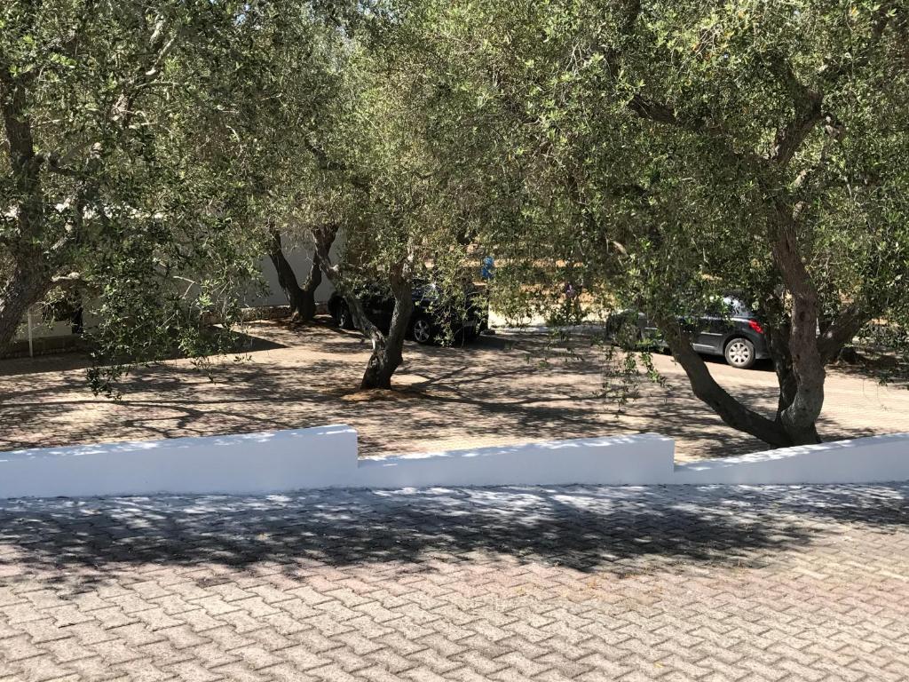 Zahrada ubytování Camping Porto Miggiano