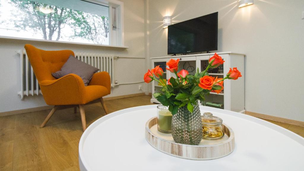 TV a/nebo společenská místnost v ubytování Apartment 19
