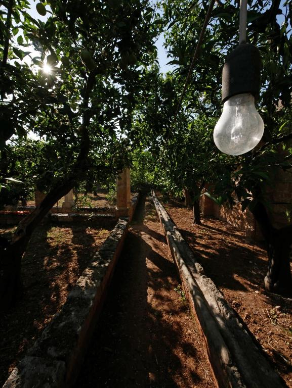 Zahrada ubytování Masseria Maccarone