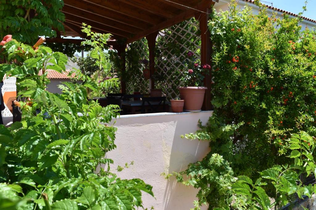 A garden outside Krinelos Rooms