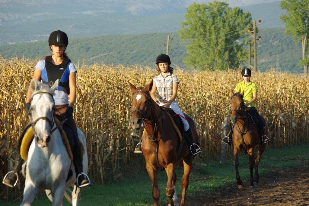 tre bambini che cavalcano di fronte a un campo di grano di Hotel Sv. Mihovil a Trilj