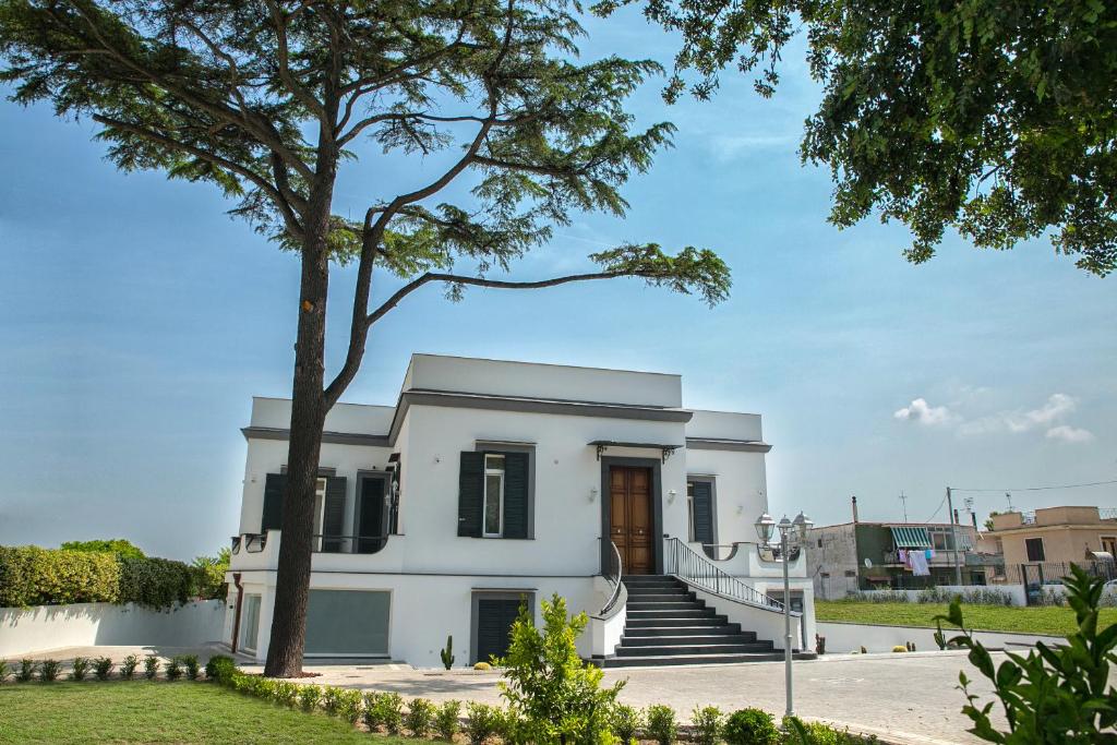 a white house with a tree in front of it at Al Tartarughino B&B in Cercola