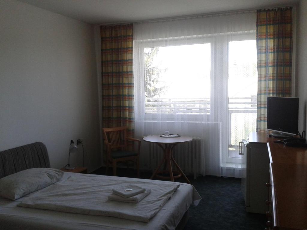 Postel nebo postele na pokoji v ubytování Hotel Slezan