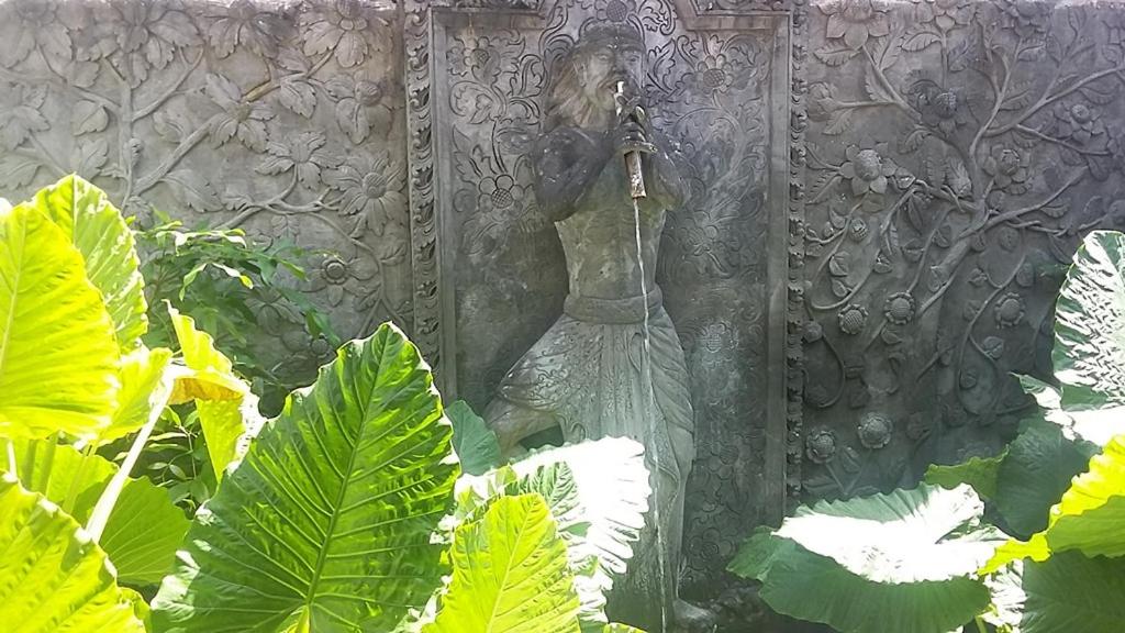 Zahrada ubytování Seraya Shores Bali
