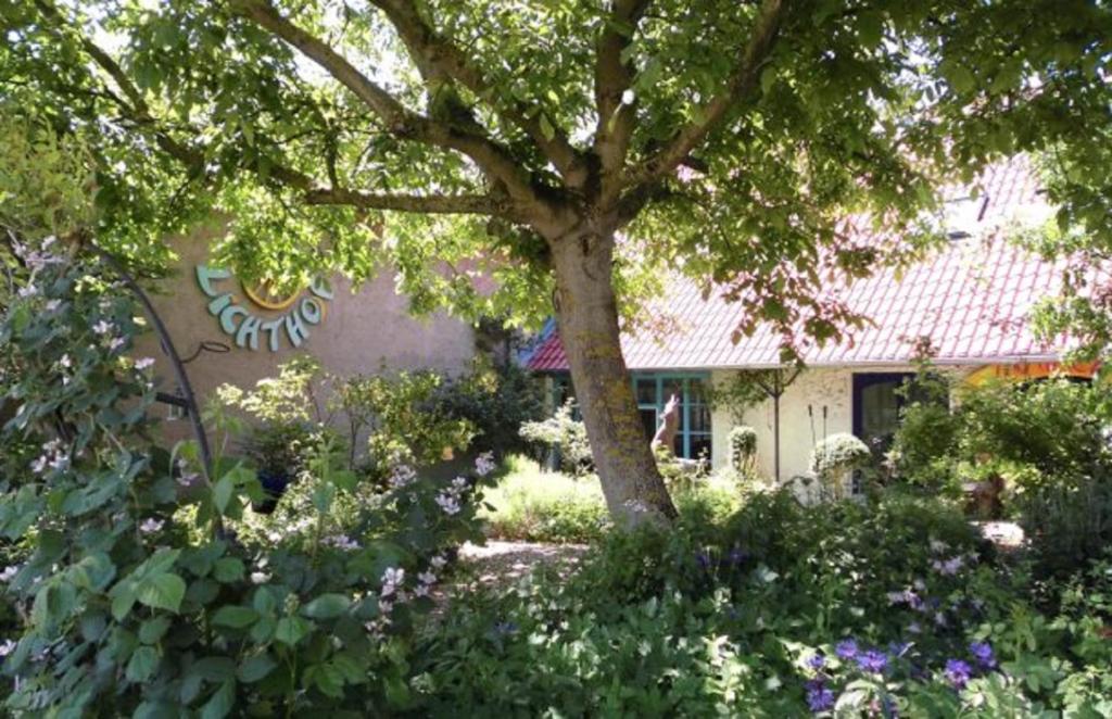 a house with a tree in the middle of a garden at Gastehaus und Cafe - Lichthof in Ottendorf