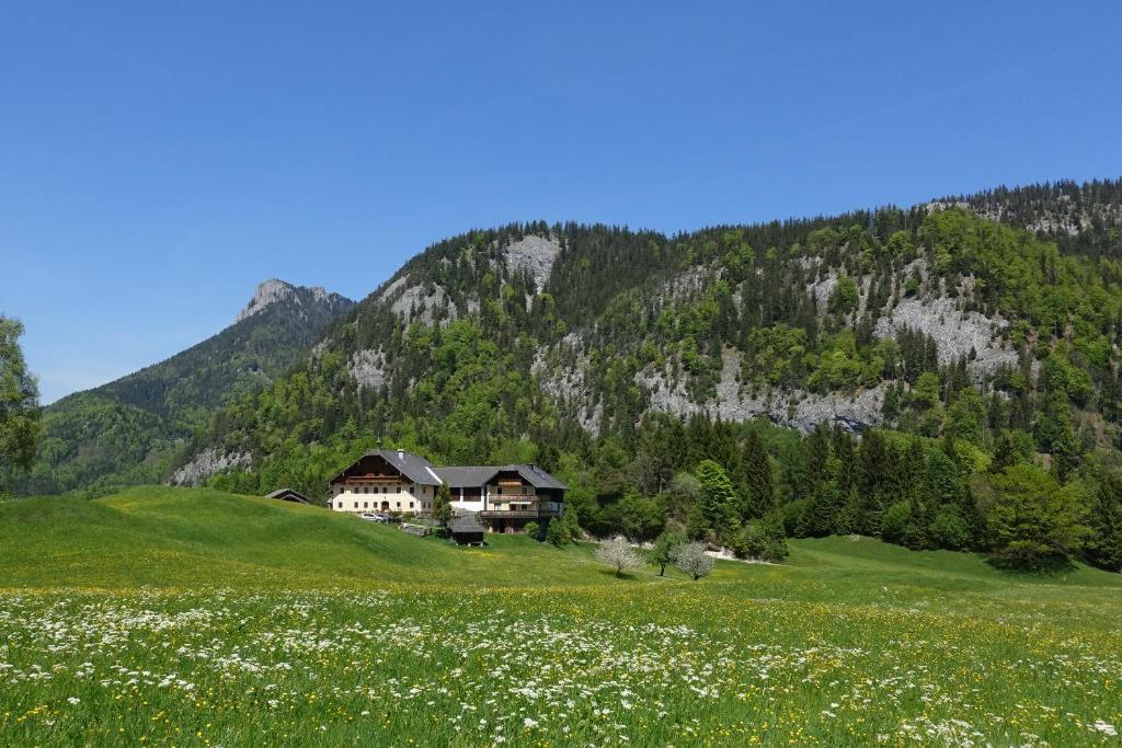 una casa en una colina en un campo de flores en Urlauben im Grünen, en Fuschl am See