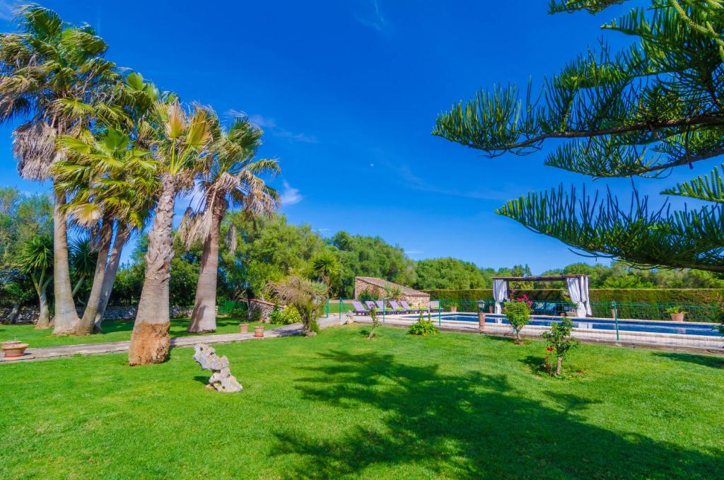 A garden outside Es Camp Fred
