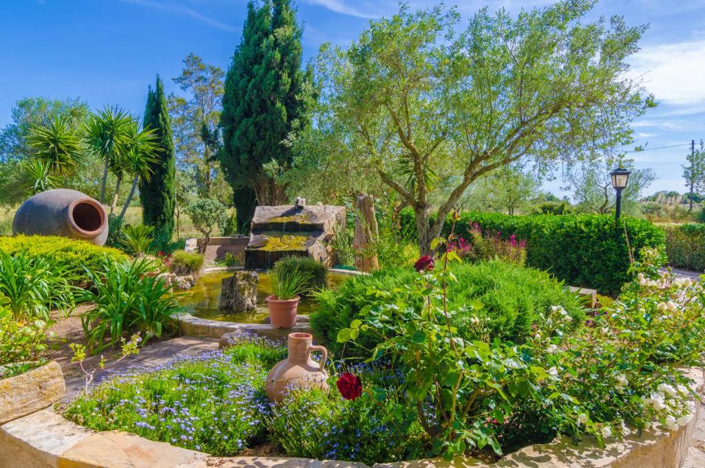 A garden outside Es Camp Fred