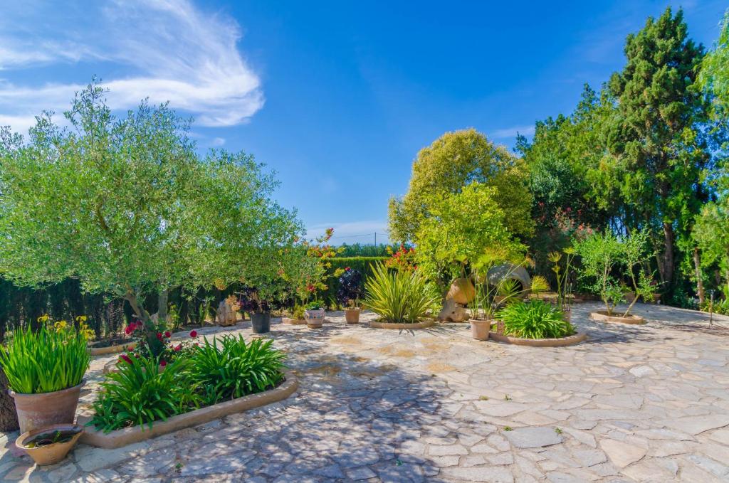 A garden outside Es Camp Fred