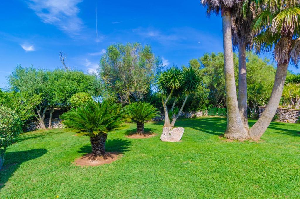 A garden outside Es Camp Fred