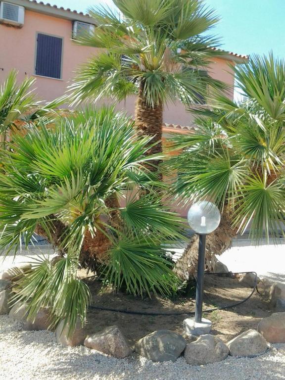 a group of palm trees in front of a building at Hotel Su Giudeu in Chia
