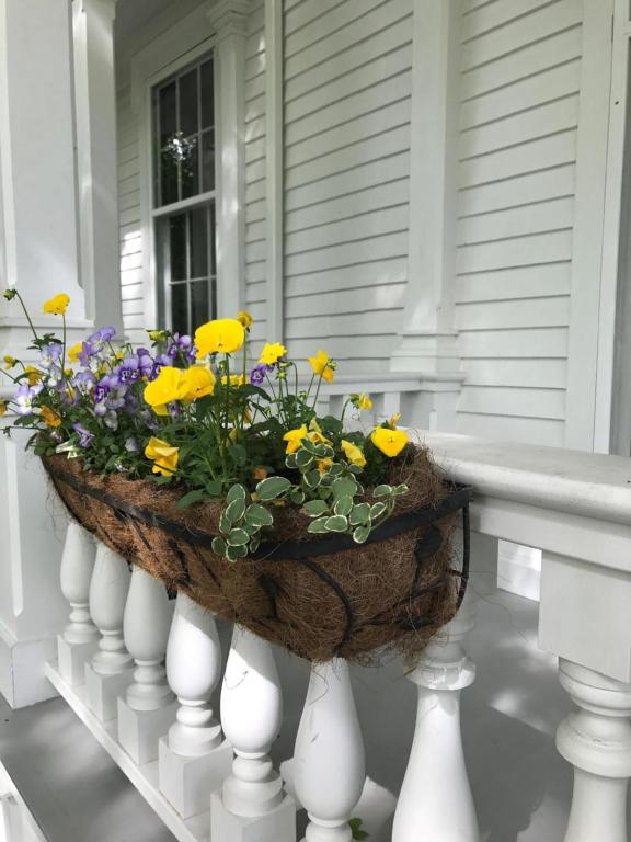Zahrada ubytování The Old Lyme Inn