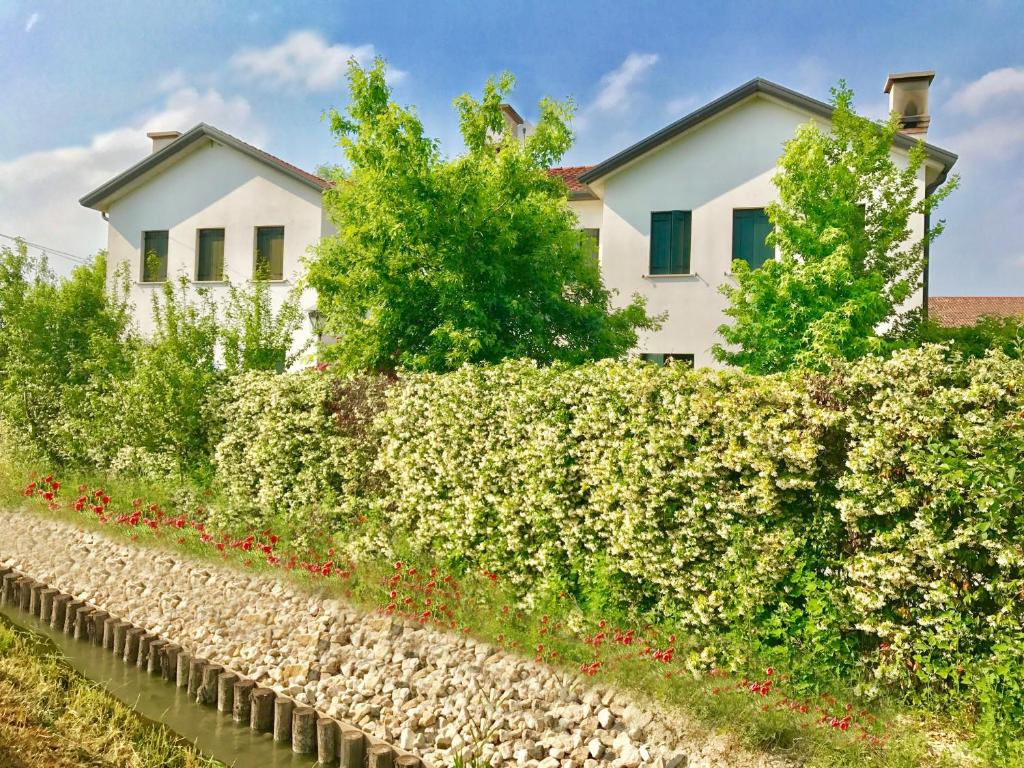 una casa detrás de un seto con una casa en el fondo en Chez Alberto, en Mirano