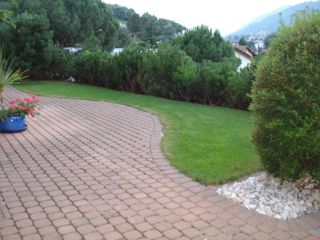Příroda nedaleko bed and breakfast