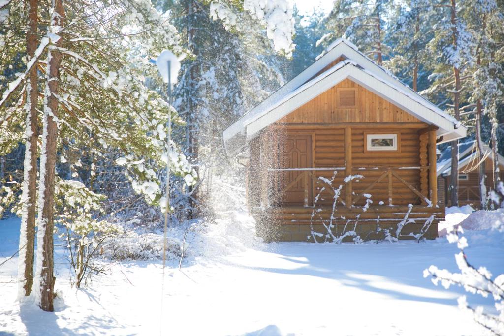 Cabaña de madera con árboles en la nieve en Knyazhya Rechka, en Tver