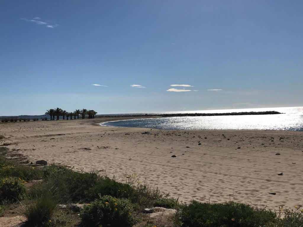 a sandy beach with trees in the water at Apartamento Vora Mar 33 in Cambrils