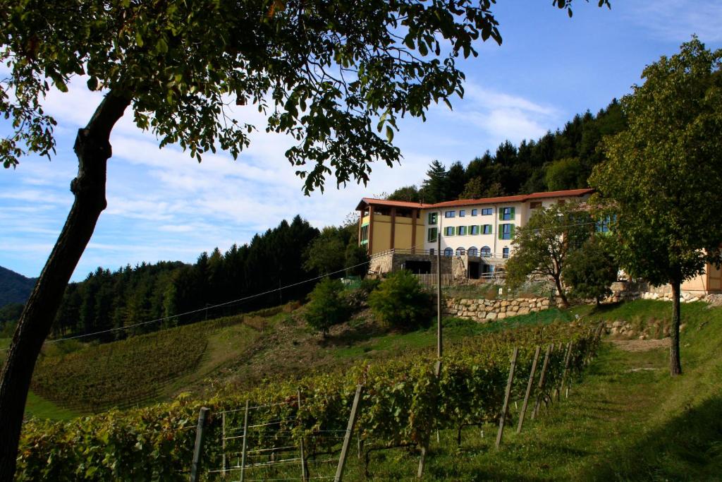 a house on top of a hill with a vineyard at Polisena L'Altro Agriturismo Veg in Pontida