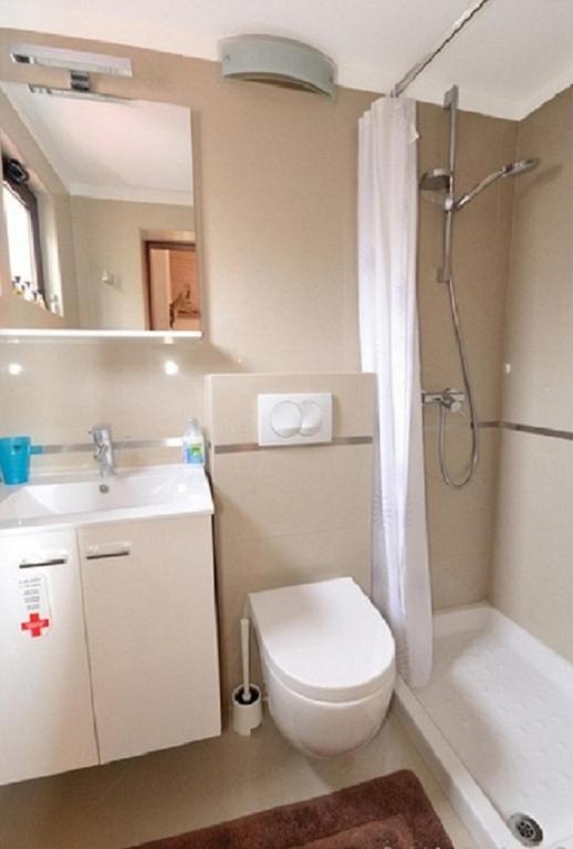 Apartments Villa Mattossi - 15