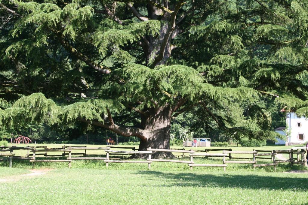 Apartamento Rural Elizondo reservar